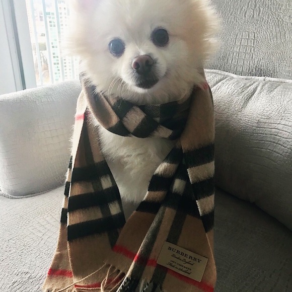 Meet your Posher, Cynthia - Picture 1 of 1